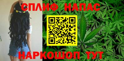 стафф Берёзовский