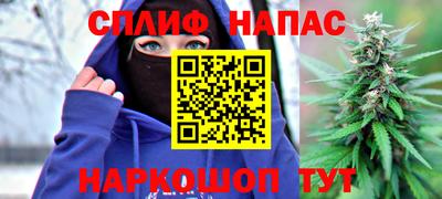 Альфа ПВП Дубна