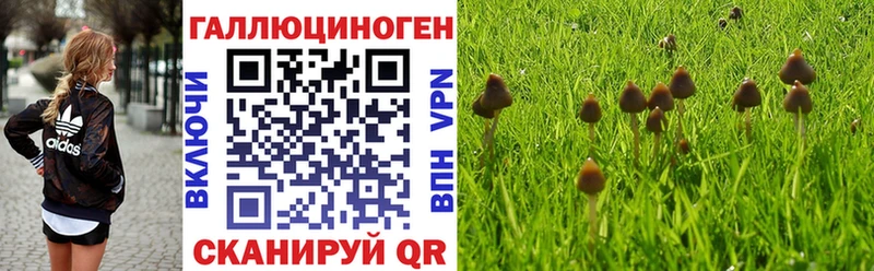 даркнет сайт Заволжье Псилоцибиновые грибы GOLDEN TEACHER