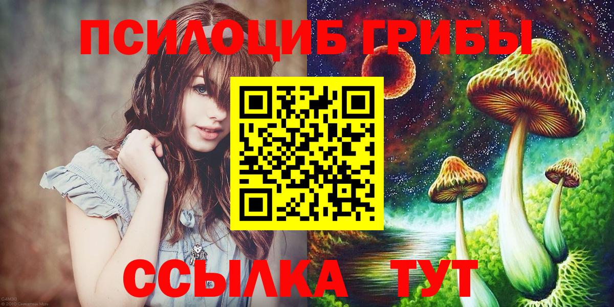 Псилоцибиновые грибы GOLDEN TEACHER Заволжье